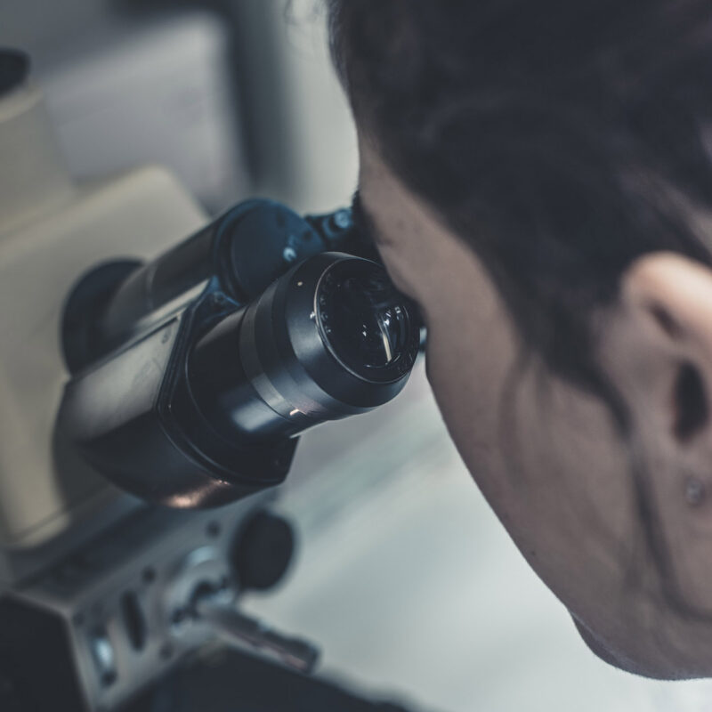 ricercatrice osserva al microscopio