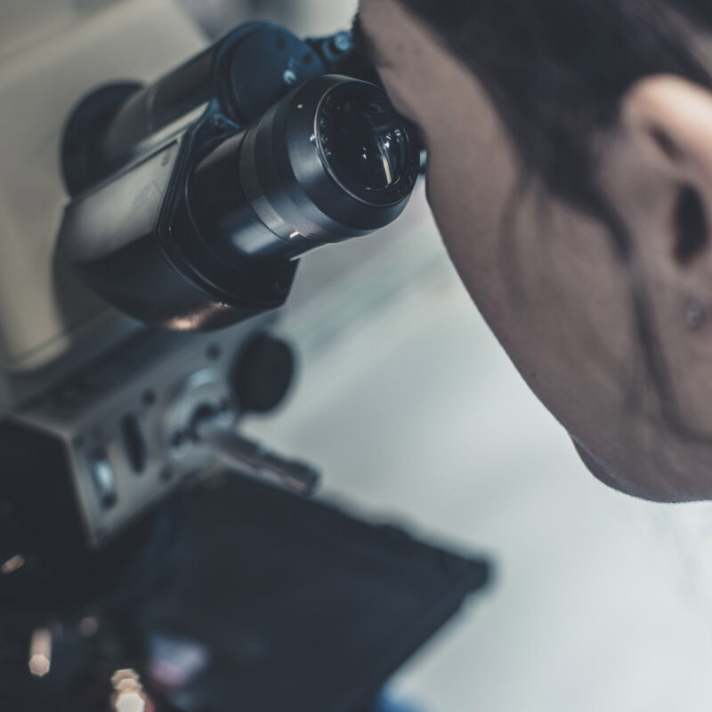 ricercatrice osserva al microscopio